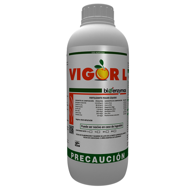 VIGOR L