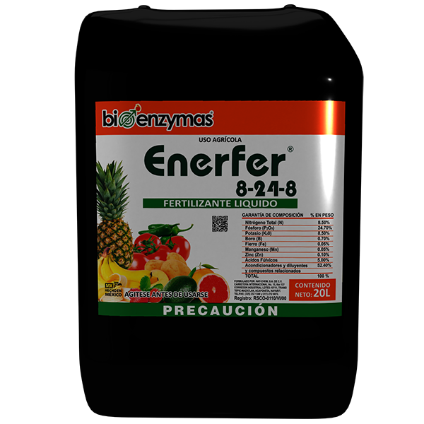 ENERFER 8-24-8