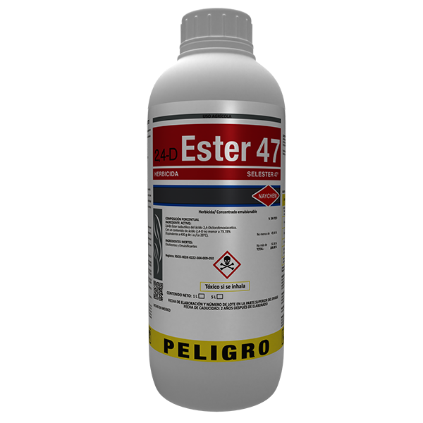 SELESTER 47