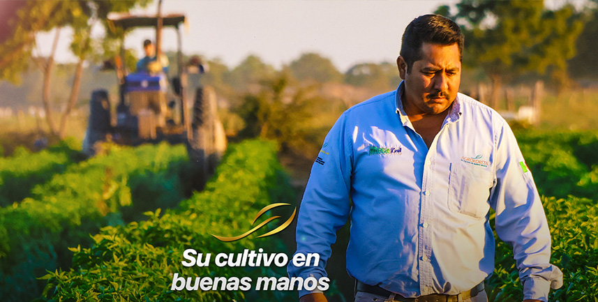 Su cultivo en buenas manos