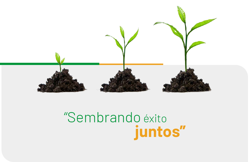 Sembrando éxito juntos